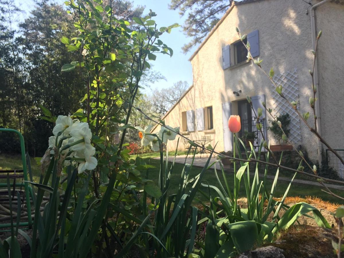 Les volets lavande Aubignan Buitenkant foto